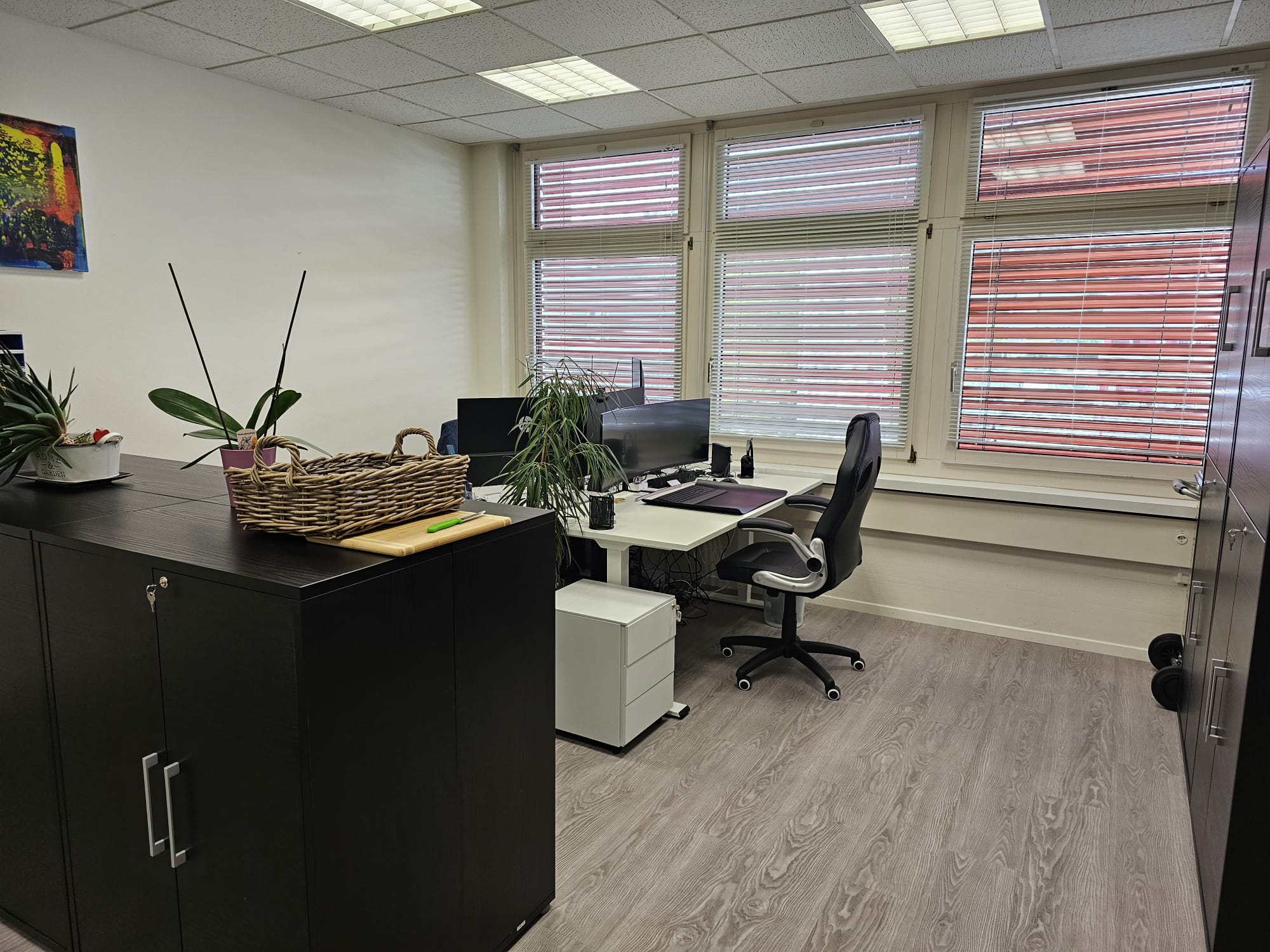 SEBONA Büro Innenansicht